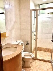 Rafflesia Condominium (D20), Condominium #501593311